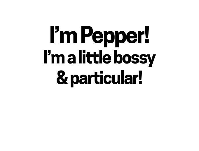I'm Pepper! I'm a little bossy and particular!