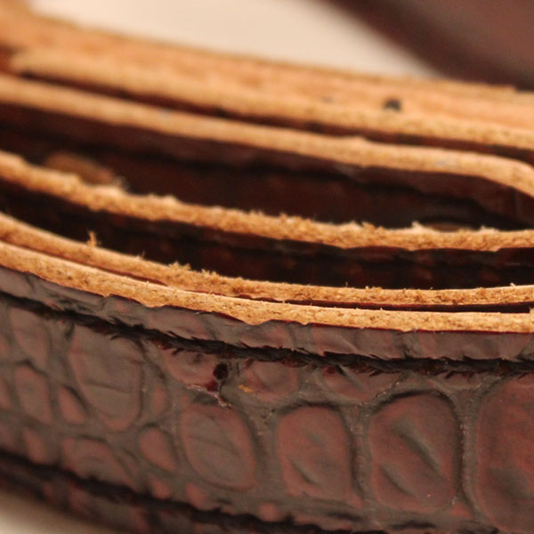 Close-up of mahogany dog leasg